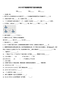 2023年宁海县数学四下期末调研试题含解析