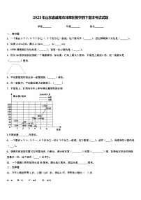 2023年山东省威海市环翠区数学四下期末考试试题含解析