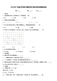 2023年广东省云浮市新兴县数学四下期末质量检测模拟试题含解析