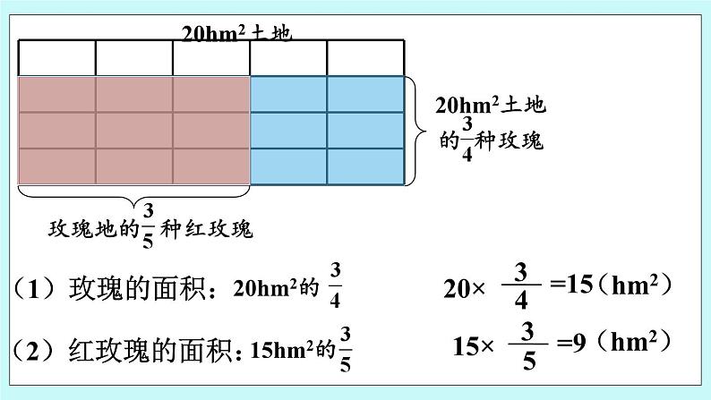 西师大版数学六年级上册 1.5  问题解决（2）　PPT课件04