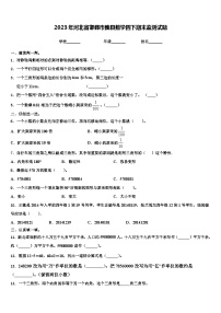 2023年河北省邯郸市魏县数学四下期末监测试题含解析