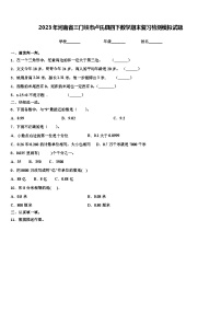 2023年河南省三门峡市卢氏县四下数学期末复习检测模拟试题含解析