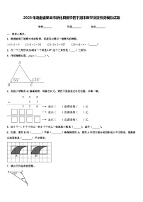 2023年湖南省娄底市新化县数学四下期末教学质量检测模拟试题含解析