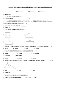 2023年河北省衡水市景县杜桥镇数学四下期末学业水平测试模拟试题含解析