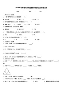 2023年甘肃省武威市四下数学期末质量检测试题含解析