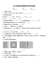 2023年衢州市龙游县数学四下期末考试试题含解析