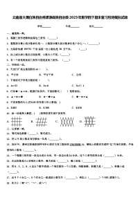 云南省大理白族自治州漾濞彝族自治县2023年数学四下期末复习检测模拟试题含解析