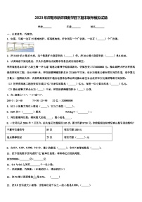 2023年邵阳市新邵县数学四下期末联考模拟试题含解析