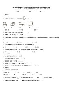 2023年绵阳市三台县数学四下期末学业水平测试模拟试题含解析