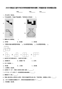 2023年黑龙江省齐齐哈尔市泰来县数学四年级第二学期期末复习检测模拟试题含解析