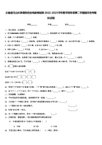 云南省文山壮族苗族自治州麻栗坡县2022-2023学年数学四年级第二学期期末统考模拟试题含解析