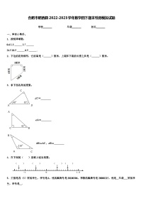 合肥市肥西县2022-2023学年数学四下期末检测模拟试题含解析