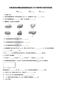 大理白族自治州巍山彝族回族自治县2023年数学四下期末检测试题含解析