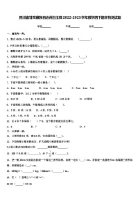 四川省甘孜藏族自治州白玉县2022-2023学年数学四下期末检测试题含解析