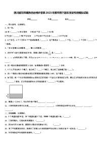 四川省甘孜藏族自治州炉霍县2023年数学四下期末质量检测模拟试题含解析