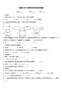 安塞县2023年数学四下期末统考试题含解析