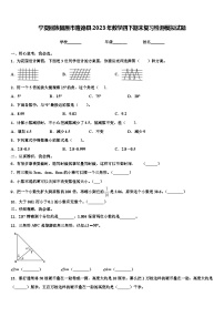 宁夏回族固原市隆德县2023年数学四下期末复习检测模拟试题含解析