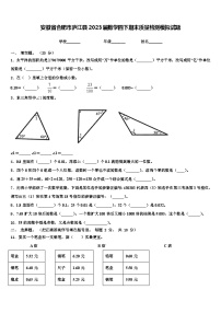 安徽省合肥市庐江县2023届数学四下期末质量检测模拟试题含解析