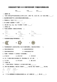 安徽省宣城市宁国市2023年数学四年级第二学期期末经典模拟试题含解析