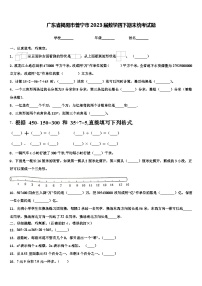 广东省揭阳市普宁市2023届数学四下期末统考试题含解析