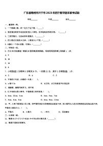 广东省梅州市兴宁市2023年四下数学期末联考试题含解析