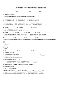 广东省清远市2023届四下数学期末综合测试试题含解析