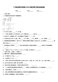 广东省深圳市罗湖区2023年数学四下期末监测试题含解析