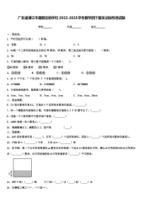 广东省湛江市雷阳实验学校2022-2023学年数学四下期末达标检测试题含解析