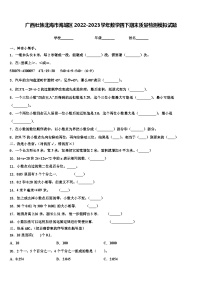 广西壮族北海市海城区2022-2023学年数学四下期末质量检测模拟试题含解析