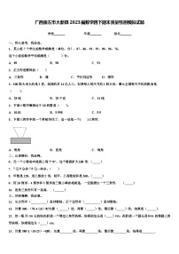 广西崇左市大新县2023届数学四下期末质量检测模拟试题含解析