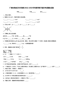 广西壮族崇左市天等县2022-2023学年数学四下期末考试模拟试题含解析