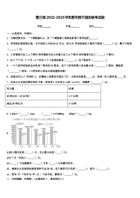 普兰县2022-2023学年数学四下期末联考试题含解析