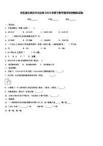 河北省石家庄市元氏县2023年四下数学期末检测模拟试题含解析