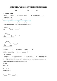 河北省秦皇岛卢龙县2023年四下数学期末达标检测模拟试题含解析