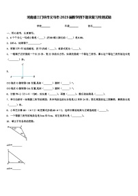 河南省三门峡市义马市2023届数学四下期末复习检测试题含解析