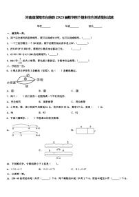 河南省濮阳市台前县2023届数学四下期末综合测试模拟试题含解析