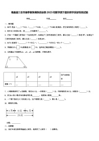 海南省三亚市保亭黎族苗族自治县2023年数学四下期末教学质量检测试题含解析