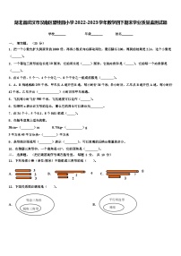 湖北省武汉市汉南区碧桂园小学2022-2023学年数学四下期末学业质量监测试题含解析