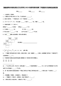 湖南省娄底市新化县东方文武学校2023年数学四年级第二学期期末质量跟踪监视试题含解析