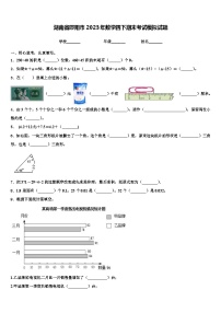 湖南省邵阳市2023年数学四下期末考试模拟试题含解析