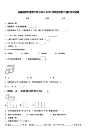 湖南省邵阳市新宁县2022-2023学年数学四下期末考试试题含解析