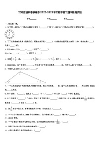 甘肃省酒泉市敦煌市2022-2023学年数学四下期末检测试题含解析