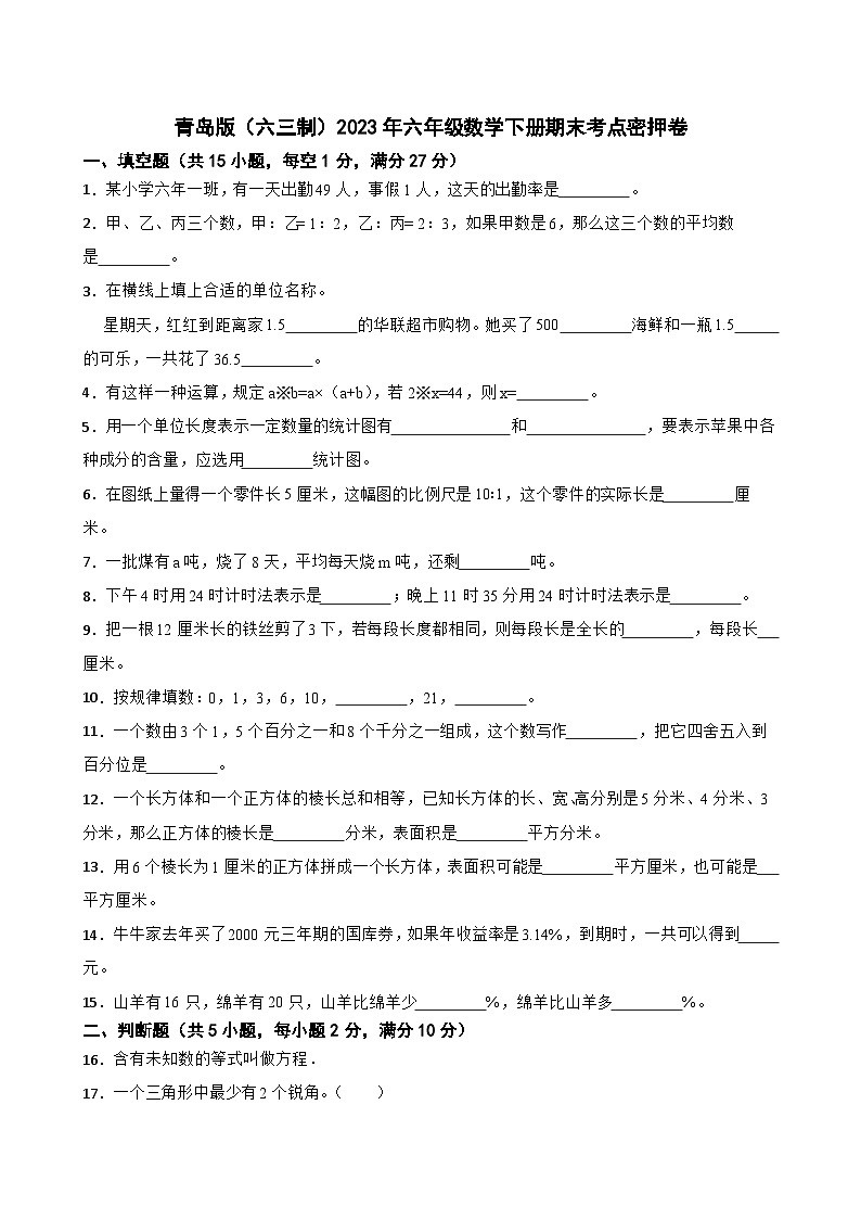 青岛版（六三制）2023年六年级数学下册期末考点密押卷第1页