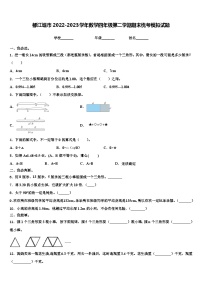 都江堰市2022-2023学年数学四年级第二学期期末统考模拟试题含解析