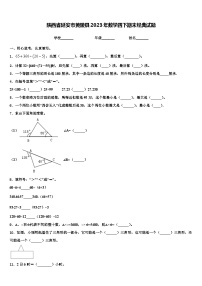 陕西省延安市黄陵县2023年数学四下期末经典试题含解析