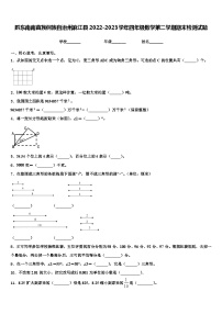 黔东南南苗族侗族自治州麻江县2022-2023学年四年级数学第二学期期末检测试题含解析