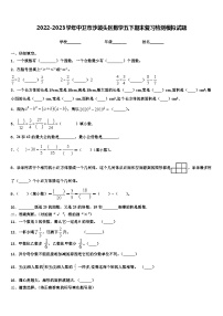 2022-2023学年中卫市沙坡头区数学五下期末复习检测模拟试题含解析