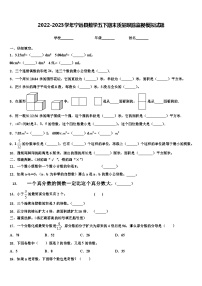 2022-2023学年宁远县数学五下期末质量跟踪监视模拟试题含解析