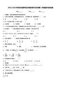 2022-2023学年四川省攀枝花市西区数学五年级第二学期期末检测试题含解析