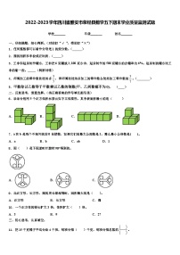 2022-2023学年四川省雅安市荥经县数学五下期末学业质量监测试题含解析